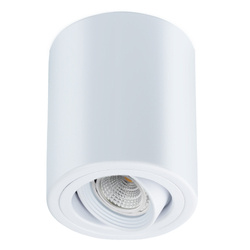 DL-206 | Surface mounted ceiling luminaire, movable | spot | GU10 | white