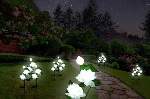 Kwiatek solarny | Ogrodowa lampa solarna LED Lotos, Lilia wodna | 72 cm, 600 mAh | FLD-25-WHITE