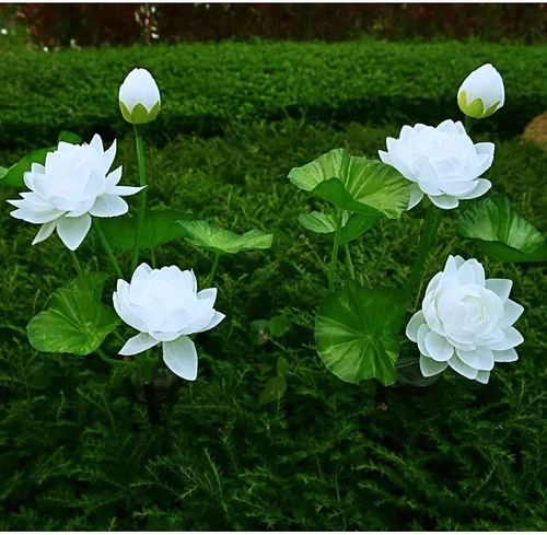 Kwiatek solarny | Ogrodowa lampa solarna LED Lotos, Lilia wodna | 72 cm, 600 mAh | FLD-25-WHITE