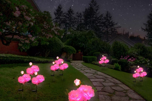 Kwiatek solarny | Ogrodowa lampa solarna LED Peonia różowa | 80 cm, 600 mAh | FLD-10-PINK
