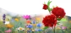 Kwiatek solarny | Ogrodowa lampa solarna LED Peonia czerwona | 80 cm, 600 mAh | FLD-10-RED