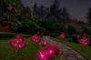 Kwiatek solarny | Ogrodowa lampa solarna LED Peonia fioletowa | 80 cm, 600 mAh | FLD-10-PURPLE