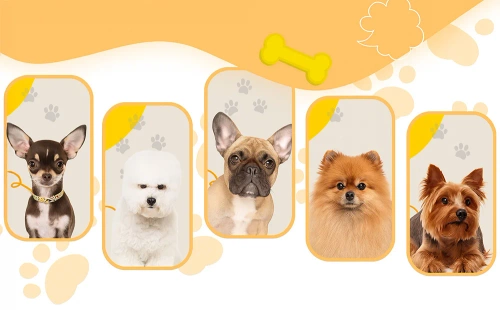 Miękki, elastyczny sweterek dla psa, kota S | Ciepły sweter z golfem na zimę |  PET-014S-White