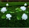 Kwiatek solarny | Ogrodowa lampa solarna LED Lotos, Lilia wodna | 72 cm, 600 mAh | FLD-25-WHITE