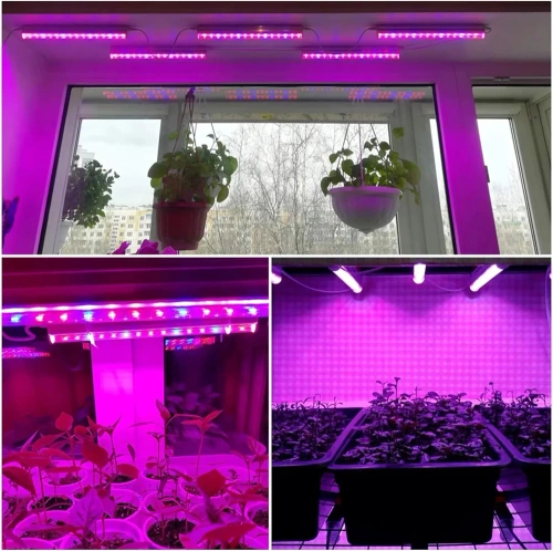 Zestaw 3 lamp do wzrostu kwiatów | Lampa 6W do uprawy roślin | Lampa z kablem zasilającym oraz przewodem łączeniowym | DG-T5-Whitel DG-T5-Whitel