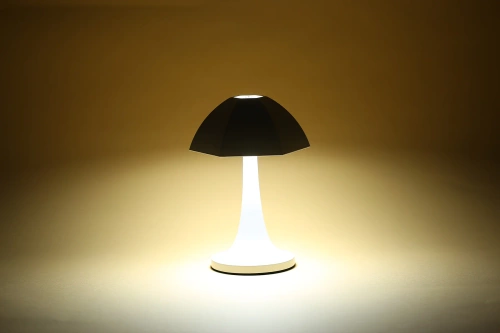 Lampa stołowa z wbudowanym akumulatorem | Nowoczesna lampka dotykowa | YG-D005-O