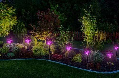 Kwiatek solarny | Ogrodowa lampa solarna LED Storczyk bukiet | 60 cm, 600 mAh | FLD-16-PURPLE