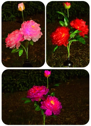 Kwiatek solarny | Ogrodowa lampa solarna LED Peonia fioletowa | 80 cm, 600 mAh | FLD-10-PURPLE