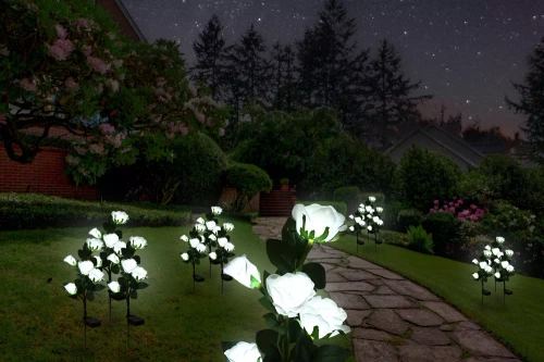 Kwiatek solarny | Ogrodowa lampa solarna LED Róże białe | 74 cm, 600 mAh | FLD-35-WHITE