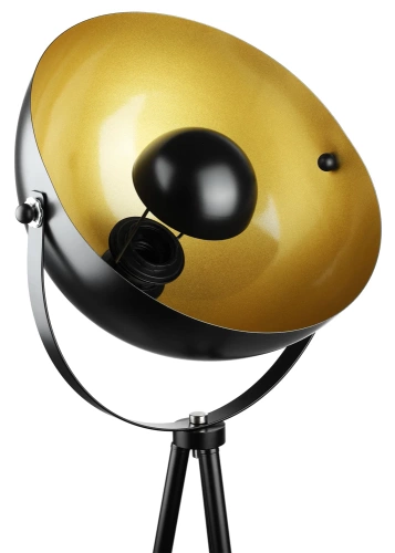 Metalowa lampa podłogowa | Nowoczesne, stylowe oświetlenie do salonu, sypialni | Czarno- złota lampa stojąca z metalowym stelażem | DYT-L125-BLACK