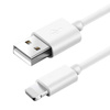 Lightning (iPhone) 1M | Kabel USB do ładowania iPhone 5S 6 6S 7 8 + X XS 11 | C01
