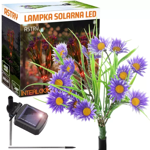 Kwiatek solarny | Ogrodowa lampa solarna LED Astry | 60 cm, 600 mAh | FLD-13-P