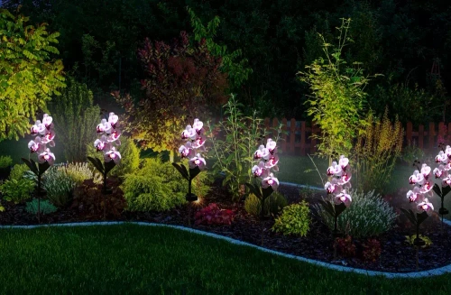 Kwiatek solarny | Ogrodowa lampa solarna LED Storczyk | 75 cm, 600 mAh | FLD-23-WP