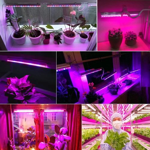 Zestaw 3 lamp do wzrostu kwiatów | Lampa 6W do uprawy roślin | Lampa z kablem zasilającym oraz przewodem łączeniowym | DG-T5-Whitel DG-T5-Whitel