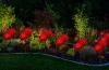 Kwiatek solarny | Ogrodowa lampa solarna LED Peonia czerwona | 80 cm, 600 mAh | FLD-10-RED