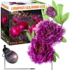 Kwiatek solarny | Ogrodowa lampa solarna LED Peonia fioletowa | 80 cm, 600 mAh | FLD-10-PURPLE