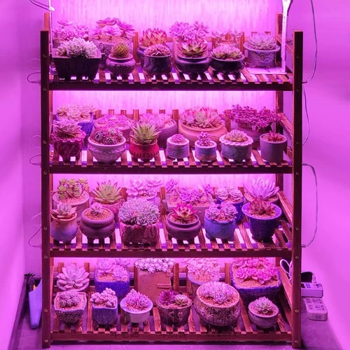 Lampa do wzrostu kwiatów | Lampa 6W do uprawy roślin | DG-T5-Whitel