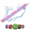 Zestaw 3 lamp do wzrostu kwiatów | Lampa 6W do uprawy roślin | Lampa z kablem zasilającym oraz przewodem łączeniowym | DG-T5-Whitel DG-T5-Whitel