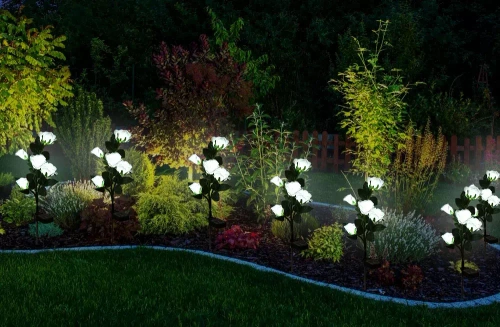 Kwiatek solarny | Ogrodowa lampa solarna LED Róże białe | 74 cm, 600 mAh | FLD-35-WHITE