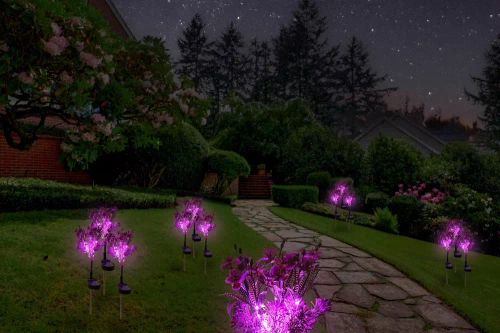 Kwiatek solarny | Ogrodowa lampa solarna LED Storczyk bukiet | 60 cm, 600 mAh | FLD-16-PURPLE