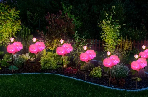 Kwiatek solarny | Ogrodowa lampa solarna LED Peonia różowa | 80 cm, 600 mAh | FLD-10-PINK