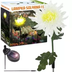 Kwiatek solarny | Ogrodowa lampa solarna LED Chryzantema | 72 cm, 600 mAh | FLD-26-WHITE