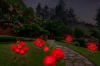 Kwiatek solarny | Ogrodowa lampa solarna LED Peonia czerwona | 80 cm, 600 mAh | FLD-10-RED