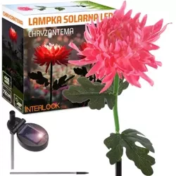 Kwiatek solarny | Ogrodowa lampa solarna LED Chryzantema | 72 cm, 600 mAh | FLD-26-PINK