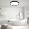 Plafon natynkowy | Niemrugający | LED | CRL-24W-BLACK