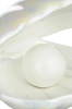 Ceramiczna lampka LED | Lampka nocna w kształcie muszli | Bezprzewodowa lampka stołowa | BKD-140-WHITE