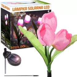 Kwiatek solarny | Ogrodowa lampa solarna LED Tulipan | 65 cm, 600 mAh | FLD-40-PINK