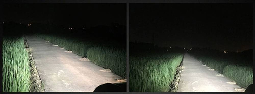 Zestaw żarówek H1 LED R10 COB 360° | 80W | 20000lm
