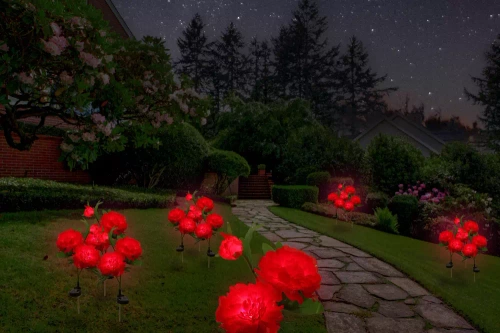 Kwiatek solarny | Ogrodowa lampa solarna LED Peonia czerwona | 80 cm, 600 mAh | FLD-10-RED