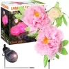 Kwiatek solarny | Ogrodowa lampa solarna LED Peonia różowa | 80 cm, 600 mAh | FLD-10-PINK