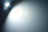 Żarówka samochodowa LED C5W 20 SMD 4014 CAN BUS