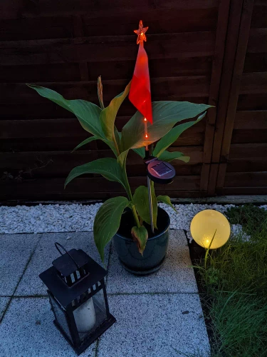 Ogrodowa lampka solarna LED wbijana flaga Polski | 73cm 600mAh | FLD-12-PO